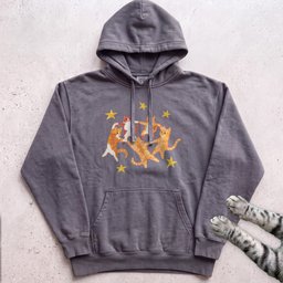 Orange Cats Dancing Hoodie Gift For Cat Lover