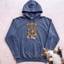 Custom Cat Personalized Hoodie Gift For Cat Lover