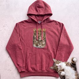 Custom Cat Personalized Hoodie Gift For Cat Lover