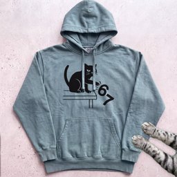 Cat Knocks 67 Off Table Hoodie Gift For Cat Lover