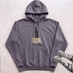Black Cat On Books Hoodie Gift For Cat Lover