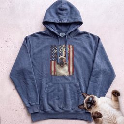 Personalized Patriotic Flag Hoodie Cat Customizable Gift For Cat Lover