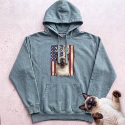 Personalized Patriotic Flag Hoodie Cat Customizable Gift For Cat Lover
