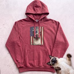 Personalized Patriotic Flag Hoodie Cat Customizable Gift For Cat Lover