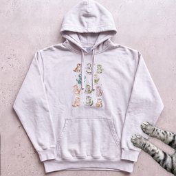 Rainbow Vintage Kittens Hoodie Gift For Cat Lover