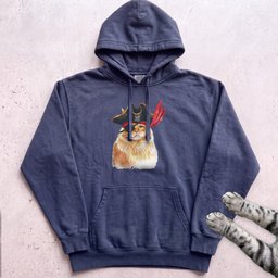 Pirate Ginger Cat Hoodie Gift For Cat Lover