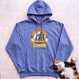 Personalized Haunted House Tours Cat Hoodie Gift For Cat Lover