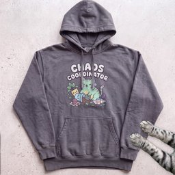 Chaos Coordinator Cat Hoodie Gift For Cat Lover