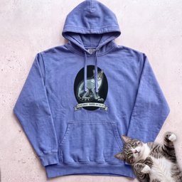 Personalized X Ray Mischief Diagnosis Cat Hoodie Gift For Cat Lover