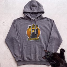 Personalized Black Cat Crossing Hoodie Gift For Cat Lover