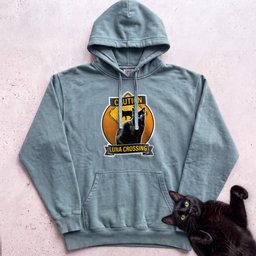 Personalized Black Cat Crossing Hoodie Gift For Cat Lover