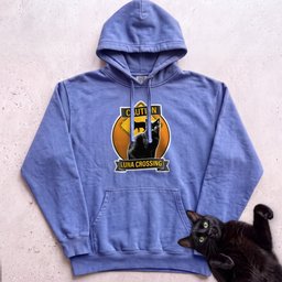 Personalized Black Cat Crossing Hoodie Gift For Cat Lover