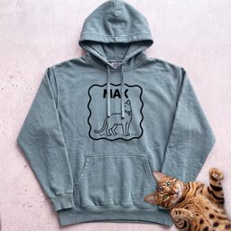 Personalized Pet Name Hoodie Minimalist Cat Custom Illustration Hoodie Gift For Cat Lover