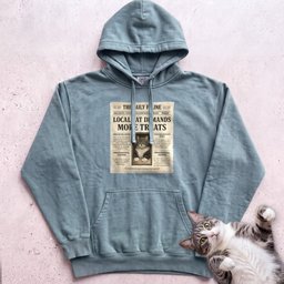 Personalized Custom Cat Newspaper Hoodie Gift For Cat Lover