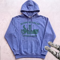 Support Local Street Cats Hoodie Gift For Cat Lover