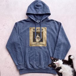Personalized Wanted Cat Hoodie Gift For Cat Lover