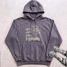 You Shall Not Pspsps Cat Wizard Hoodie Gift For Cat Lover
