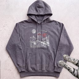 Watching For Santa Cat Hoodie Gift For Cat Lover
