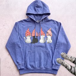 Valentine Gnome Cats Hoodie Gift For Cat Lover