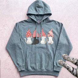 Valentine Gnome Cats Hoodie Gift For Cat Lover