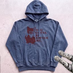 You Gotta Be Kitten Me Cat Hoodie Gift For Cat Lover