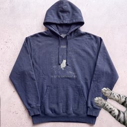 Schrödingers Cat Hoodie Gift For Cat Lover