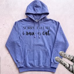 Sorry Im Late I Saw A Cat Hoodie Gift For Cat Lover