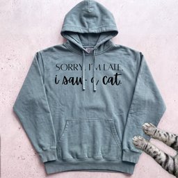Sorry Im Late I Saw A Cat Hoodie Gift For Cat Lover