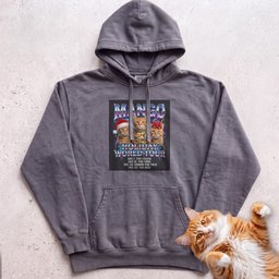 Personalized Holiday World Tour Cat Hoodie Gift For Cat Lover
