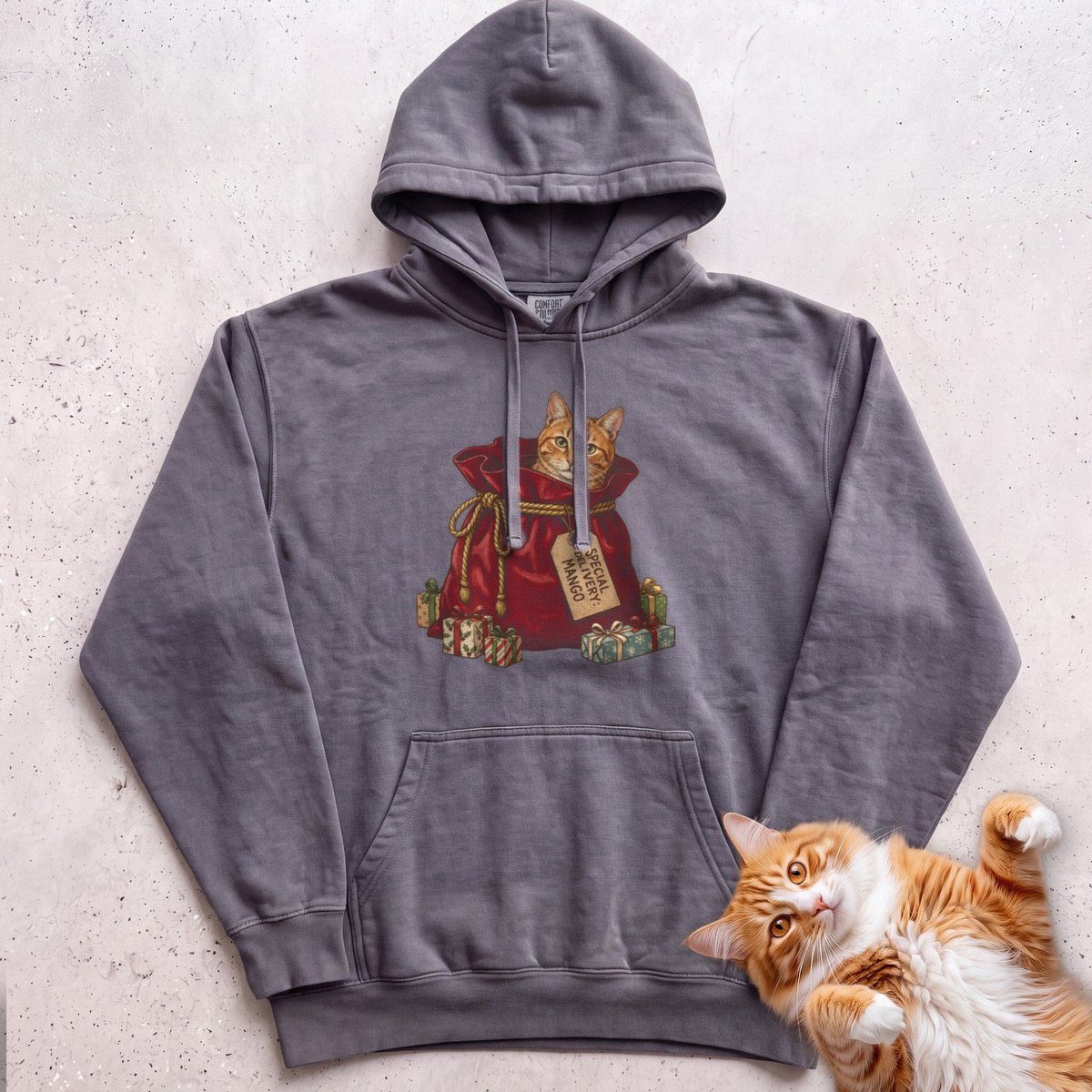 Personalized Special Delivery Cat Hoodie Gift For Cat Lover