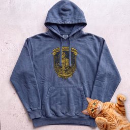Personalized Scarecrow Cat Hoodie Gift For Cat Lover