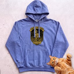Personalized Scarecrow Cat Hoodie Gift For Cat Lover