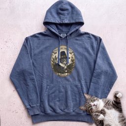 Personalized Pilgrim Cat Hoodie Gift For Cat Lover