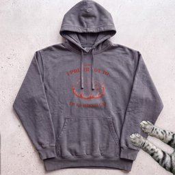 Sorry I Prefer Not To Im An Indoor Cat Hoodie Gift For Cat Lover