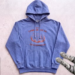 Sorry I Prefer Not To Im An Indoor Cat Hoodie Gift For Cat Lover