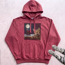 Santa Got Stuck Cat Hoodie Gift For Cat Lover