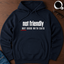 Not Friendly But Good With Cats Hoodie Gift For Adults