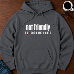 Not Friendly But Good With Cats Hoodie Gift For Adults