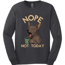 Xoloitzcuintli Not Today Long Sleeve Shirt Gift For Dog Lover