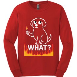 What Match Long Sleeve Shirt Gift For Dog Lover