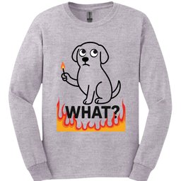 What Match Long Sleeve Shirt Gift For Dog Lover
