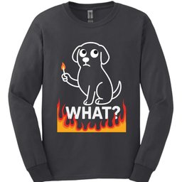 What Match Long Sleeve Shirt Gift For Dog Lover