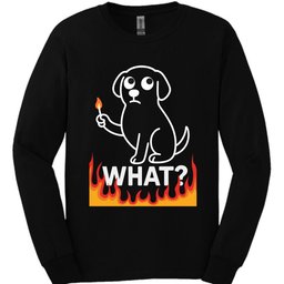 What Match Long Sleeve Shirt Gift For Dog Lover