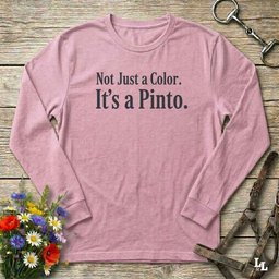 Not Just A Color Long Sleeve Tee Gift For Horse Lover