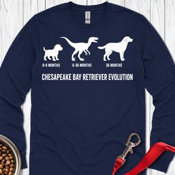 Chesapeake Bay Retriever Evolution Long Sleeve Shirt Gift For Dog Lover