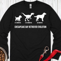 Chesapeake Bay Retriever Evolution Long Sleeve Shirt Gift For Dog Lover