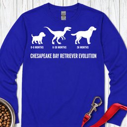 Chesapeake Bay Retriever Evolution Long Sleeve Shirt Gift For Dog Lover