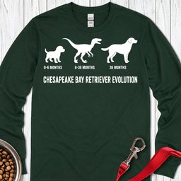 Chesapeake Bay Retriever Evolution Long Sleeve Shirt Gift For Dog Lover