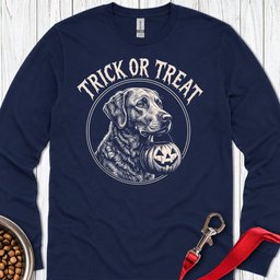 Chesapeake Bay Retriever Trick Or Treat Long Sleeve Shirt Gift For Dog Lover