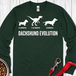 Dachshund Evolution Long Sleeve Shirt Gift For Dog Lover